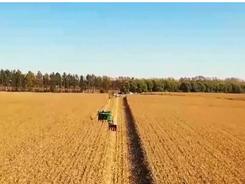 农业农村部：全国秋粮已收获超11亿亩