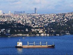 黑海港口农产品外运协议将延长120天
