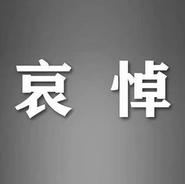 化悲痛為力量   繼遺志譜新篇   全市機(jī)關(guān)干部和各界群眾收聽收看江澤民同志追悼大會(huì)