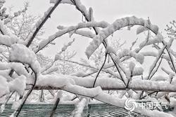 2023年元旦假期天气出炉，江苏南部有小雨其他多云