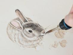 特稿：兔年说兔——外形可爱添祥瑞 奉献科学是个宝