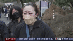 “要幸福哦！”日本民众挥泪告别熊猫香香 中国网友发出邀请 