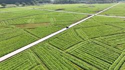 农业农村部：去年粮食增产74亿斤 农民人均可支配收入迈上2万元台阶 