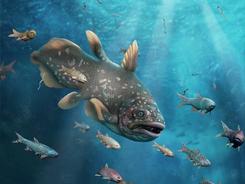 远古发现丨2.5亿年前化石宝库现世：展现史上最大生物大灭绝后的新世界