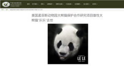 中美将联合调查大熊猫“乐乐”死因