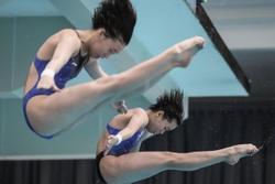 全国跳水冠军赛19日上海开赛 梦之队奥运资格选拔拉开序幕 