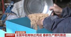 农业农村部：全国早稻育秧近两成 春耕生产顺利推进