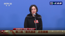 委员通道丨何超琼：大湾区将会成为香港发展的大舞台 