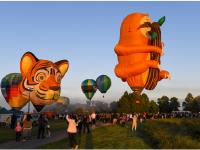 新西兰举行怀卡托热气球节