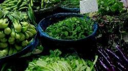 最新研究：常吃绿叶菜或助预防阿尔茨海默病