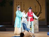 第十一届武汉“戏码头”中华戏曲艺术节开幕
