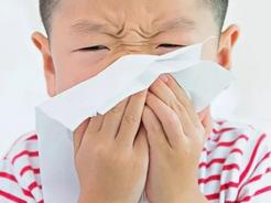 花粉柳絮来袭 过敏性鼻炎患者需注意综合防护