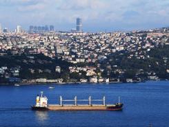 俄罗斯与联合国将磋商黑海港口农产品外运协议前景
