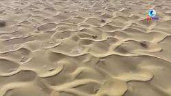 全球连线｜风沙季节 中国用“草方格”阻止世界第二大流动沙漠移动