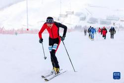 滑雪登山全国冠军赛：垂直竞速（男子、女子）赛况 