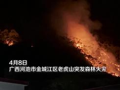 广西河池老虎山森林火灾明火已扑灭 过火面积约180亩