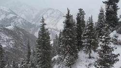新疆天山南麓迎来降雪