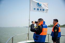 长江常州段：禁捕案件同比下降60%，又见江水清澈江豚逐浪