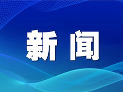 深學細悟求實效 上下貫通聚合力 