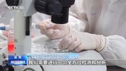 中国空间站在国际上首次开展人类干细胞太空早期造血