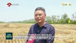 【三夏一线】全省小麦收获进度近七成