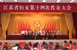 江苏省妇女第十四次代表大会闭幕 选举产生新一届省妇联领导班子 