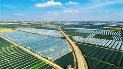 江苏响水：“科技+生态”加速农业“工业化”崛起，打造现代产业“新样板”