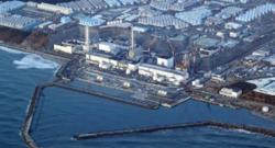 外交部发言人就日本政府启动福岛核污染水排海发表谈话 