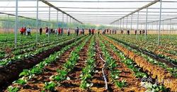 江苏下达9.43亿元支持新型农业经营主体发展
