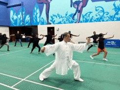 体验“中国式健身” 非洲青少年习练太极拳   