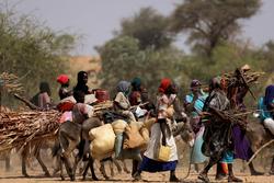 国际移民组织：苏丹武装冲突致超525万人流离失所 