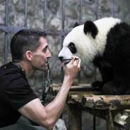 他是“花花”的“洋师傅”——美籍动物专家阿亚拉的“熊猫缘”