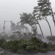 两部门紧急预拨2亿元支持做好防汛防台风救灾工作
