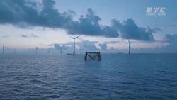 向海争风，年发36亿度电的海上风电场探秘
