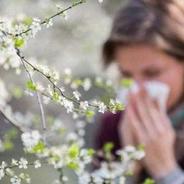 秋季过敏你中招了吗？全国花粉过敏指数地图看哪里需重点防护