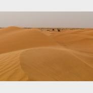 研究认为沙漠等旱区具有碳汇潜力