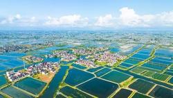 江苏兴化：依托千亿级产业集群推动生态文旅融合，引领河蟹产业“出圈突围”