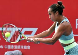 香港网球公开赛：费尔南德斯逆转夺冠
