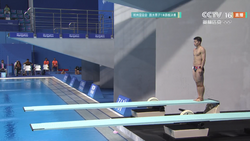 王宗源夺得杭州亚运会跳水男子1米跳板金牌