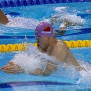 游泳世界杯布达佩斯站｜覃海洋50米蛙泳夺冠