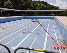 游泳教练员疏忽导致1名儿童溺亡，广东紫金县公布调查报告