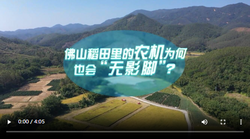 中国式现代化·青年的回答｜佛山稻田里的农机为何也会“无影脚”？ 