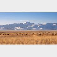 藏北纪行：高原冬季牧歌