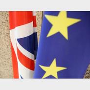 民调显示近六成英国民众支持重返欧盟单一市场