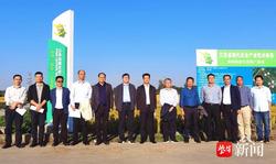 最高亩产813.58公斤！这个江苏省示范基地以新品种新技术引领粮食增产增效 