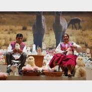 第六届进博会丨秘鲁“小羊驼”勇闯中国大市场
