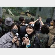 全球连线 | 日本大熊猫粉丝团来四川看望“香香”，这位摄影师让人泪目