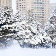 中央气象台发布今冬首个低温预警