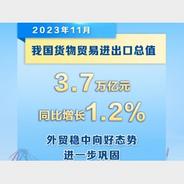 新华社权威快报 | 11月我国外贸进出口同比增长1.2%