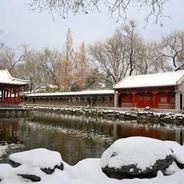 暴雪橙色预警！北京将迎明显降雪 雪后寒潮来袭